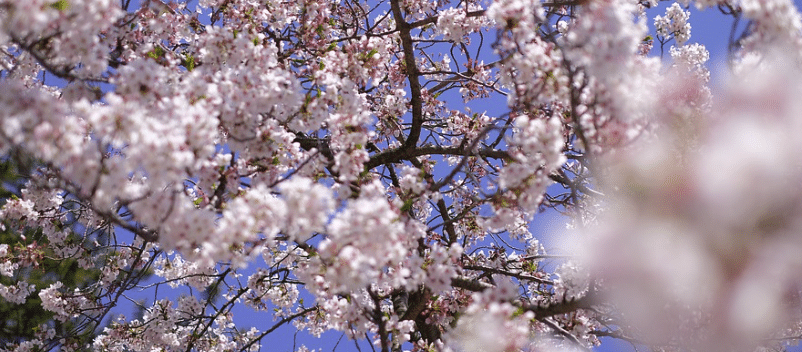 Tokyo 2020 : des Jeux Olympiques plus connectés que jamais