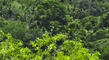 Mayotte : une campagne de prélèvements pour modéliser le potentiel géothermique