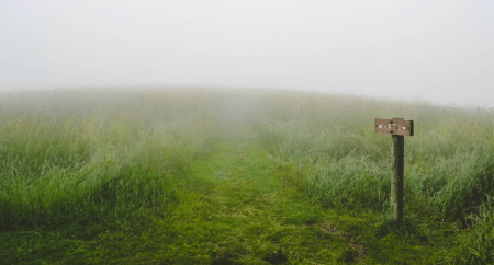 Sylvie Lemmet nommé ambassadrice de France déléguée à l’environnement