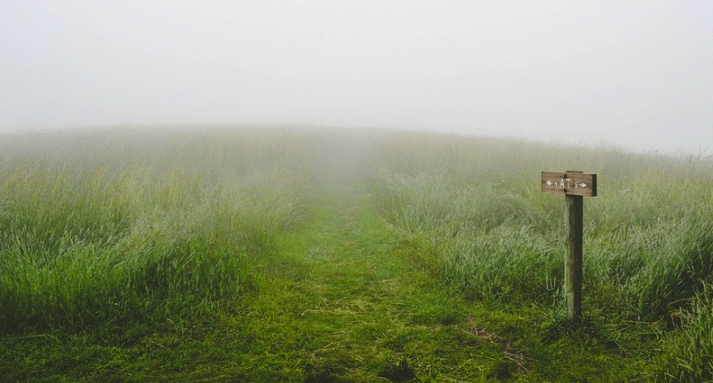Sylvie Lemmet nommé ambassadrice de France déléguée à l’environnement