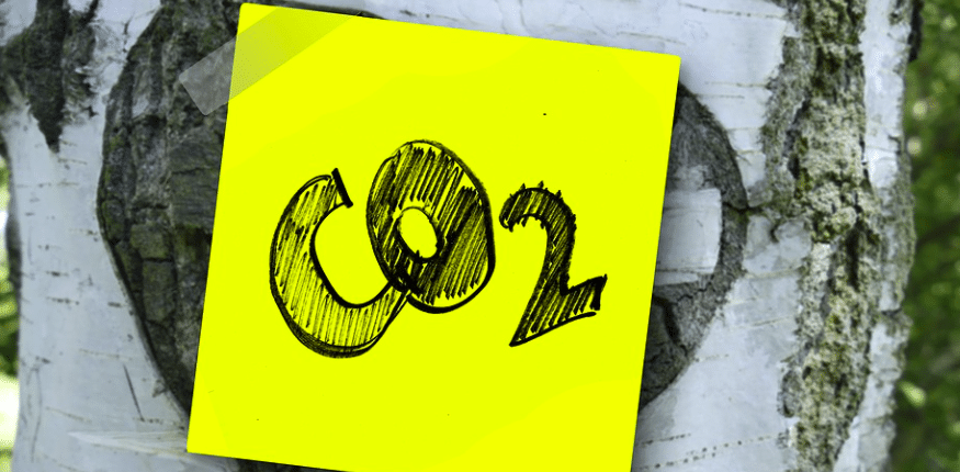 « Zéro émission nette » : Oxfam s’inquiète d’une tendance au « vernis vert »