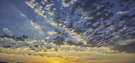 Le business écologique de la chasse au chlorofluorocarbure (CFC)