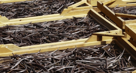 La Vanille de l’ile de la Réunion reconnue indication géographique protégée