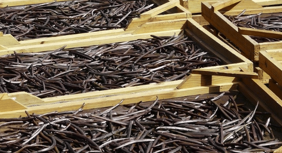 La Vanille de l’ile de la Réunion reconnue indication géographique protégée