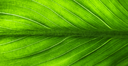 Le « pilier vert » du plan de relance est engagé, affirme le gouvernement