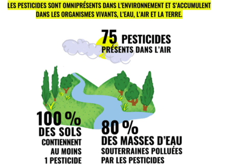 Biodiversités : Deux associations attaquent l’État pour « manquement » dans la lutte contre les pesticides