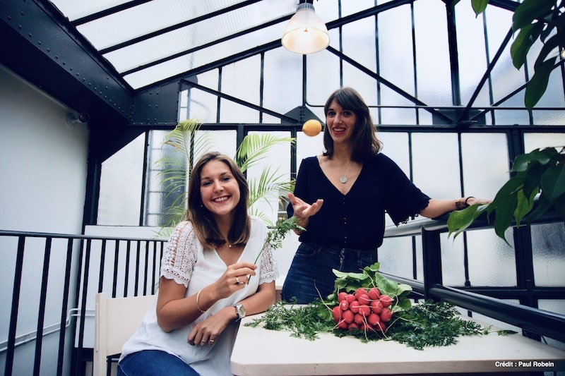 Les entreprises engagent leurs collaborateurs dans leur démarche RSE à travers des animations éco-responsables