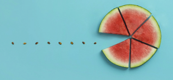 Primaire écologistes : un récit politique et médiatique