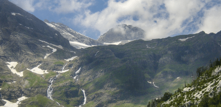 Pyrénées : nouveau souffle pour le programme de réintroduction des ours
