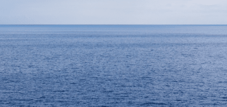 En Atlantique du Nord, une nouvelle aire marine protégée