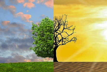 Climat : Google et YouTube prive de pubs les contenus qui « contredisent le consensus scientifique »