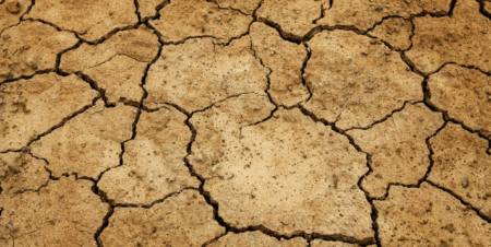 L’agriculture africaine à l’épreuve du réchauffement climatique