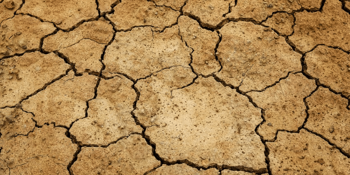 L’agriculture africaine à l’épreuve du réchauffement climatique