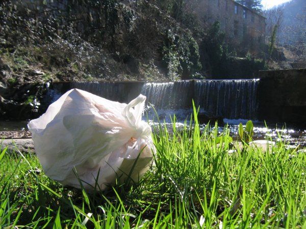 Commission européenne, haro sur les sacs en plastique