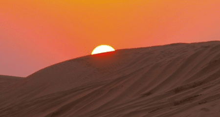 A Interpol, le controversé général émirati élu pour prendre la tête d’Interpol