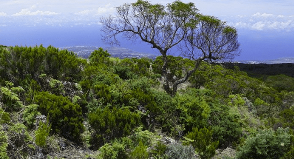 L’Outre-Mer dans une crise politique sans précédent
