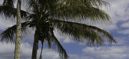 Nouvelle Calédonie, le piège politique des indépendantistes