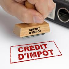 Le Sénat veut un crédit d’impôt développement durable (CIDD) plus stable