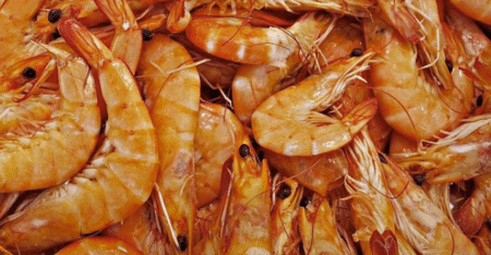 Au Brésil, la crevette est devenue politique après le pépin de santé de Jair Bolsonaro