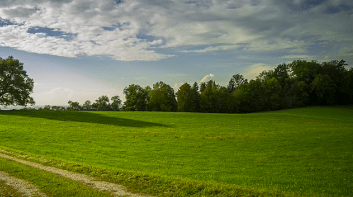 Les produits Bio entament un ralentissement à cause d’une offre trop importante
