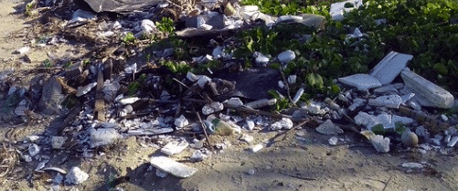 Océan : plastique partout, estime le WWF