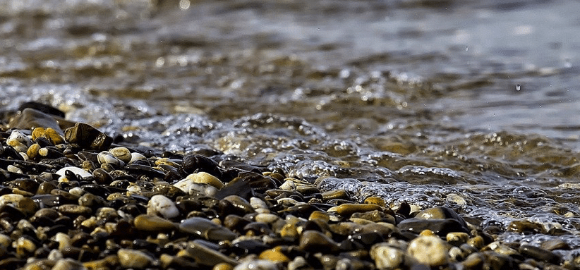 Presque toutes les rivières du monde sont touchées par des pollutions médicamenteuses