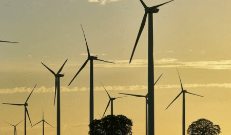 Oiseaux et éoliennes : un argument valable mais qui ne dit pas tout