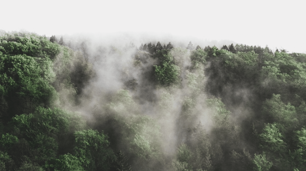 Grâce à son ticket gagnant un vainqueur EuroMillions lance une fondation environnementale