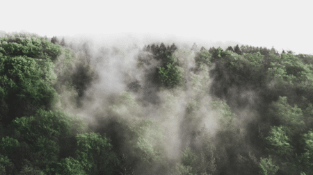 Grâce à son ticket gagnant un vainqueur EuroMillions lance une fondation environnementale