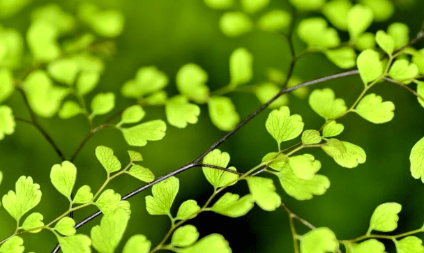 Ces métiers verts dont les entreprises ont besoin