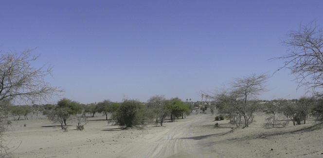 L’ONU relaye la demande du Niger de plus de moyens pour lutter contre le terrorisme