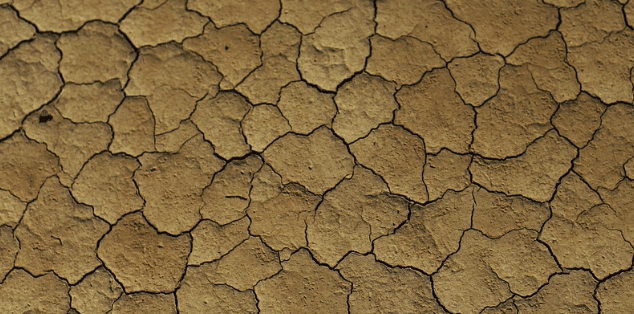 Afrique de l’Ouest : les 15 pays de la Cedeao adoptent une stratégie sur le climat