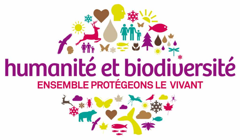 Pour Humanité et Biodiversité, la forêt est « à privilégier pour réussir la transition écologique »