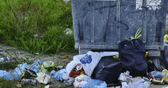 Le ministère de l’Intérieur enregistre une augmentation des infractions environnementales