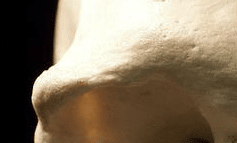 Yves Coppens, le plus grand paléontologue de sa génération est mort