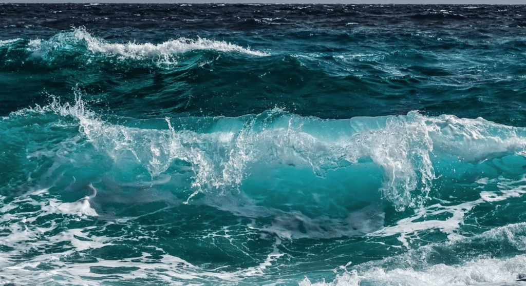 La France et Costa Rica en tandem pour les Conférences des Océans 2024 et 2025