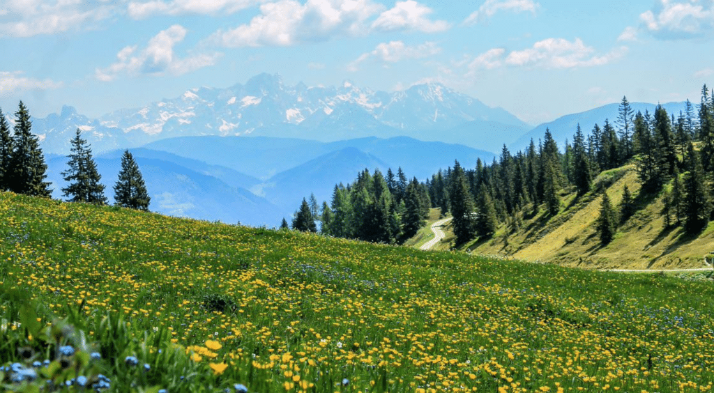 Observés depuis longtemps, les effets du recul de la glace dans les Alpes se vérifient