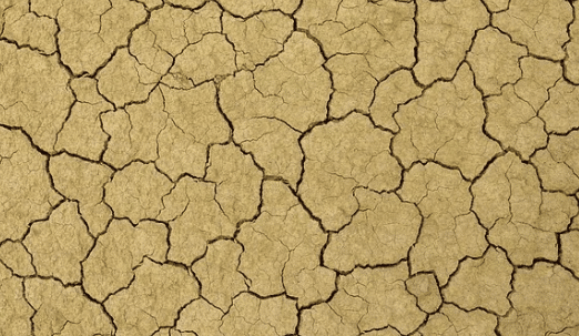 Sécheresse : « Le Figaro » publie le classement des villes les plus en risque