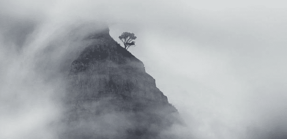 Entre 2000 et 2019, l’espérance de vie a progressé de dix ans en Afrique