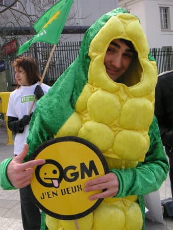 OGM, selon FNE l’autorisation se base sur « un fondement scientifique invalide »