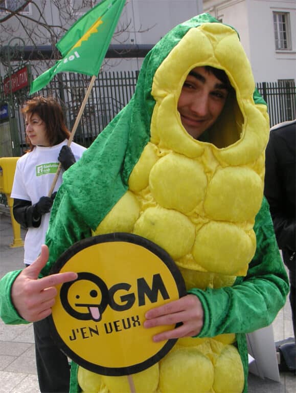 OGM, selon FNE l’autorisation se base sur « un fondement scientifique invalide »