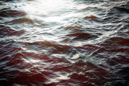 La préservation des océans inquiète le CESE