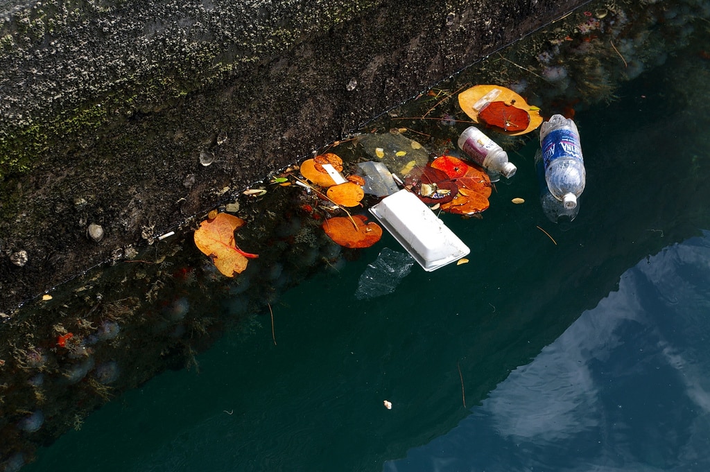 Les déchets plastiques en mer coutent 13 milliards de dollars chaque année