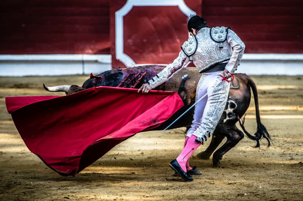 Derrière la corrida, l’enjeu de la conscience ?