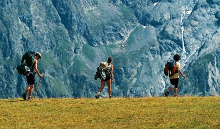 Les promenades de nettoyeurs rencontrent de plus en plus de succès