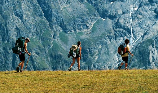 Les promenades de nettoyeurs rencontrent de plus en plus de succès