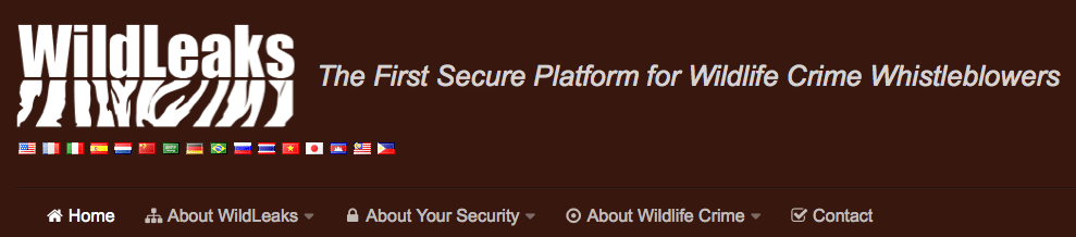 WildLeaks, plateforme collaborative pour l’environnement
