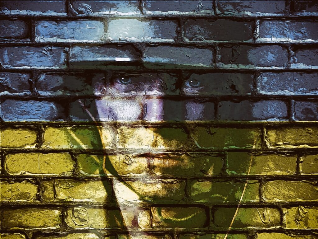 Détruire l’environnement est-il un crime de guerre ?