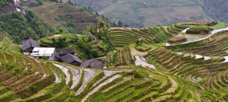 La perte d'autosuffisance alimentaire inquiète la Chine