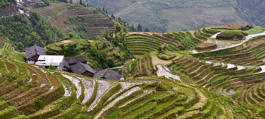 La perte d'autosuffisance alimentaire inquiète la Chine